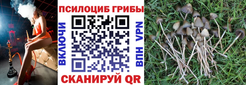 Купить закладки  Темрюк  Галлюциногенные грибы Psilocybine cubensis 